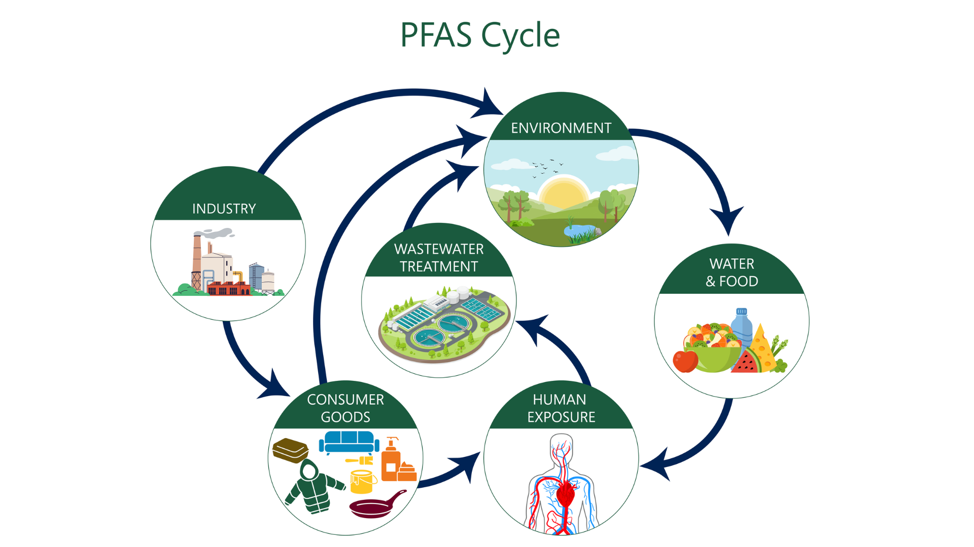 PFAS Water Treatment